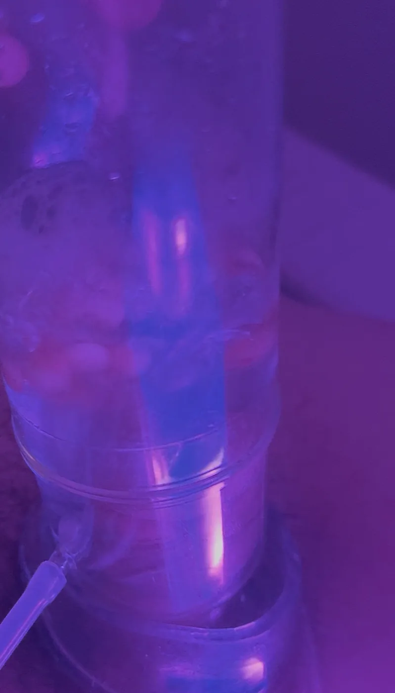 东方根浴仪式的氛围光影